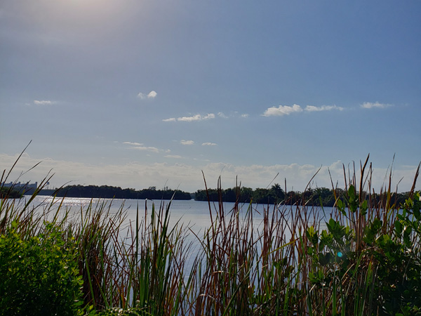 Caloosahatchee Creeks Preserve Fort Myers, Florida - Nature Park, Hiking, Wildlife, Trails along Caloosahatchee River Caloosahatchee Creeks Preserve in N. Fort Myers, FL