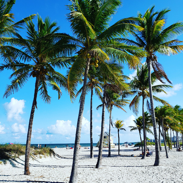Florida - Beaches, Sunshine and Palm Trees 