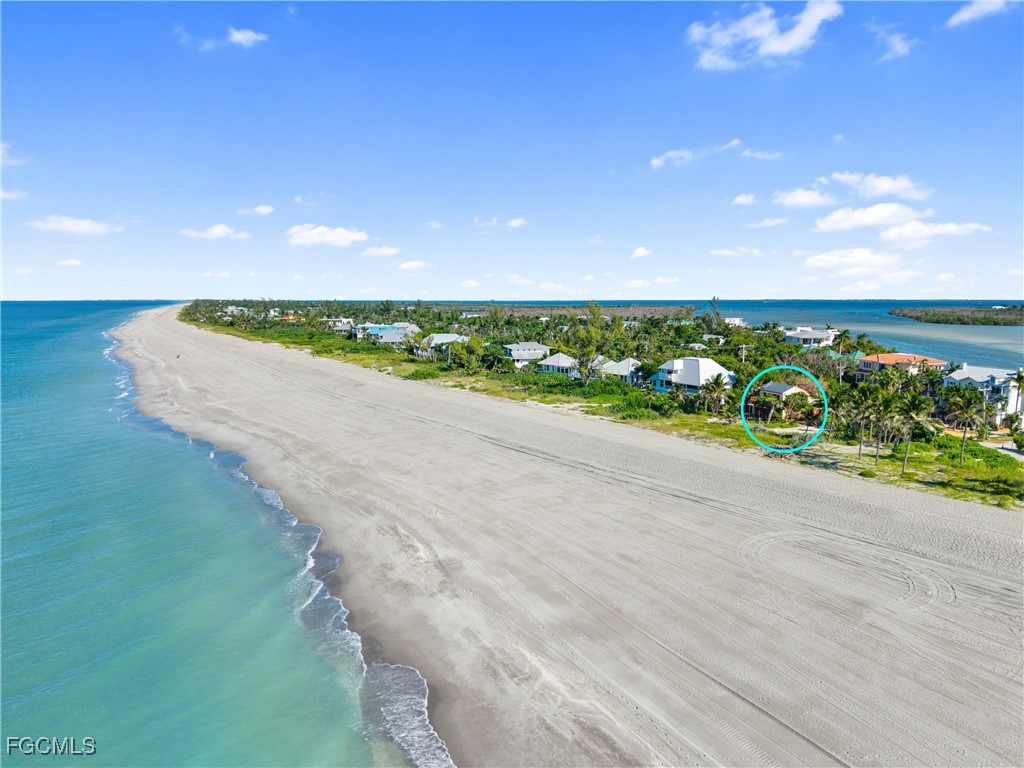 https://www.florida2000.com/images/latest/223036615-63608816.jpg
