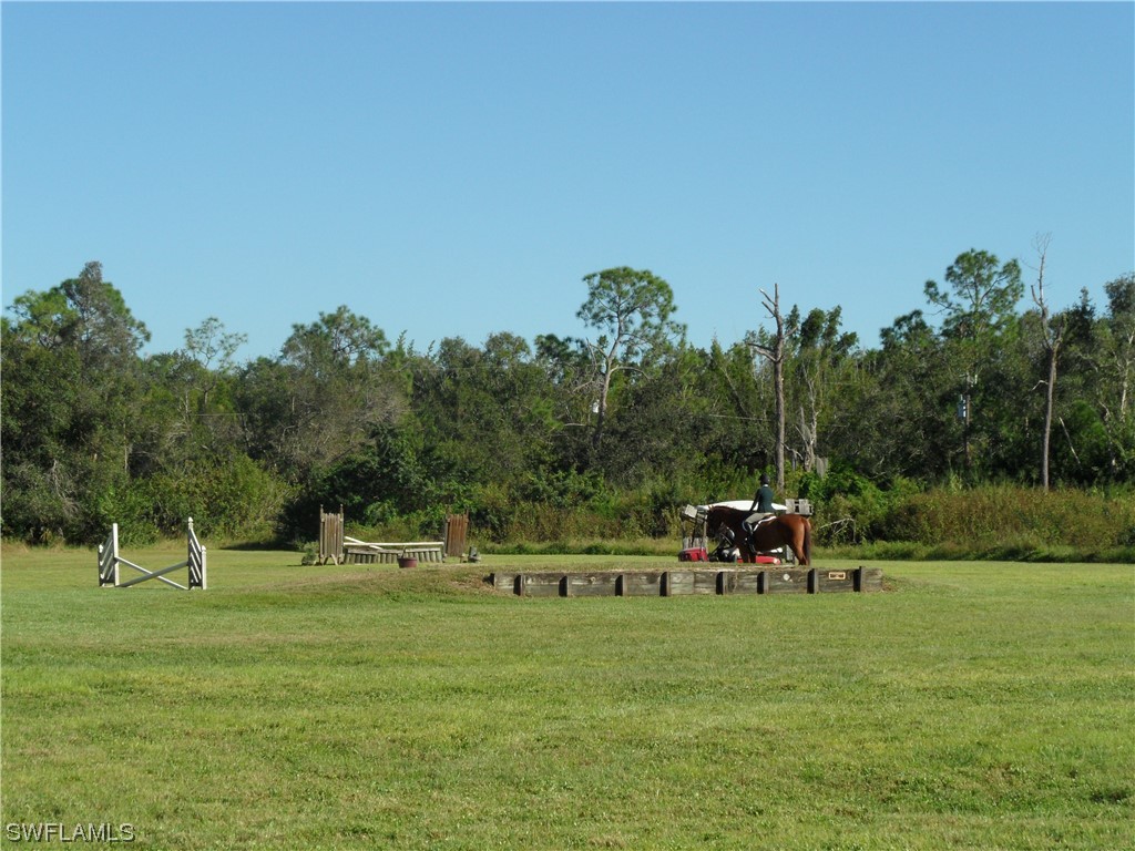 https://www.florida2000.com/images/latest/224016781-54398336.jpg