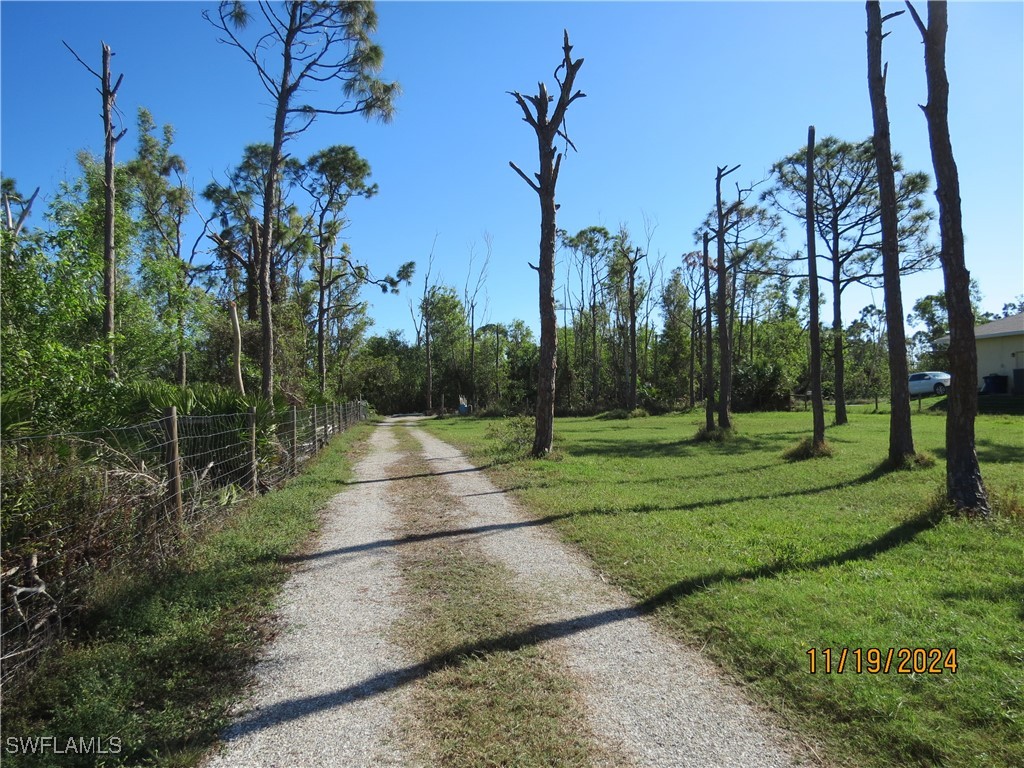 https://www.florida2000.com/images/latest/224093178.jpg